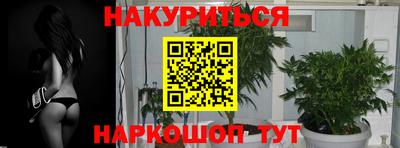 дживик Будённовск