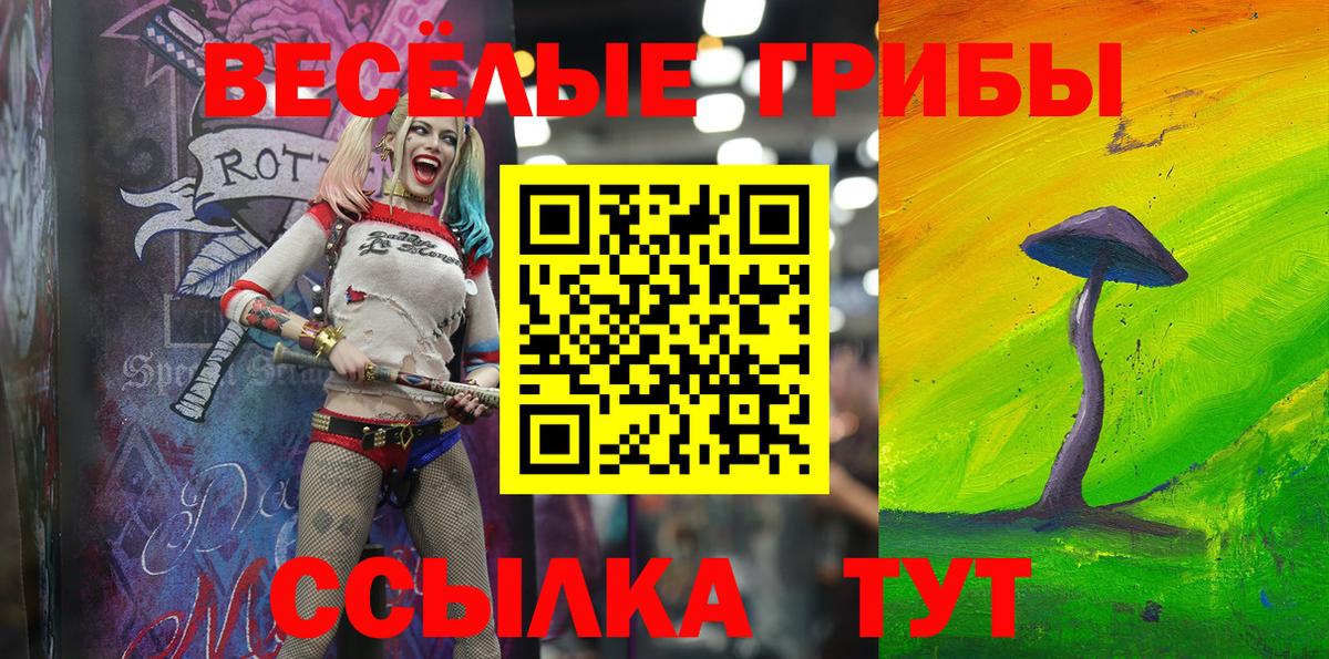 Псилоцибиновые грибы Psilocybine cubensis  Вход с VPN  Псилоцибиновые грибы мухоморы  Тулун 