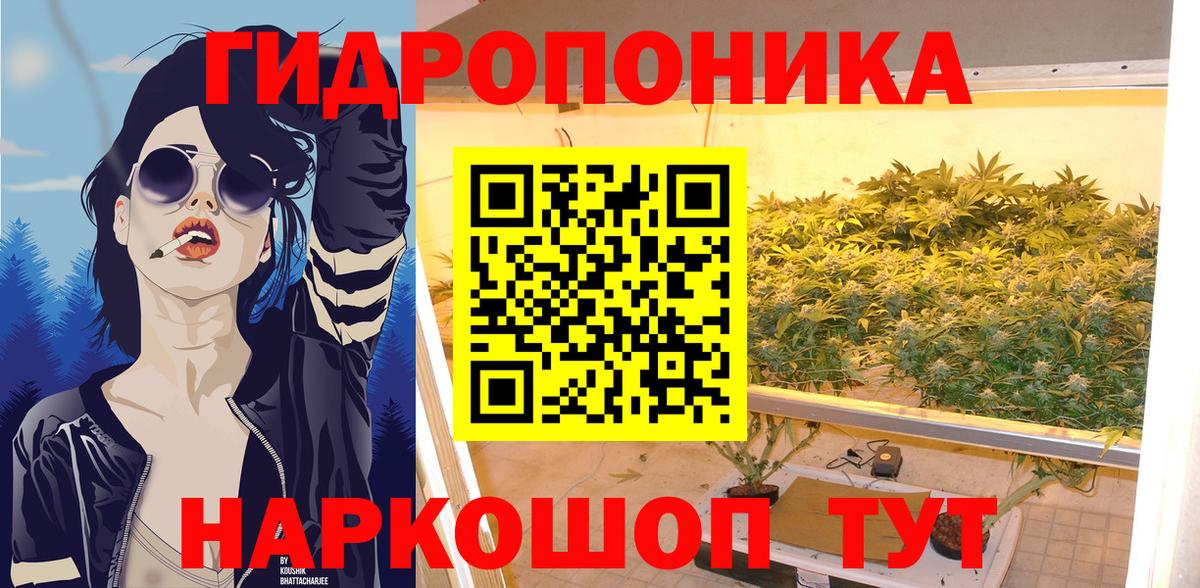 Тулун  Бошки Шишки SATIVA & INDICA  Конопля план  Вход с VPN  Бошки марихуана Ganja 